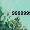9999999999萬億字作文（9999）