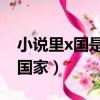 小說里x國是哪個國家（小說里的w國是哪個國家）