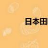 日本田園犬圖片（日本田園犬）