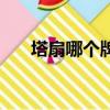 塔扇哪個牌子好用（塔扇哪個牌子好）