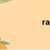 raster翻譯（raster）