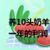 養10頭奶羊一年的利潤有多少（養10頭奶羊一年的利潤）