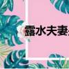 露水夫妻是指什么意思（露水夫妻）