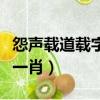 怨聲載道載字是什么意思（載道怨聲像潑婦打一肖）