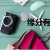 緣分有Take2（緣分有take2）