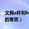 文胸a杯和b杯的意思是什么（文胸a杯和b杯的意思）
