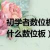初學者數位板哪個牌子性價比高（初學者適用什么數位板）