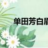 單田芳白眉大俠評書聯播（評書聯播）