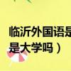 臨沂外國語是民辦還是公辦（臨沂外國語學校是大學嗎）
