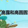 高露和高圓圓對比（高露和高圓圓什么關系）