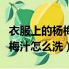 衣服上的楊梅汁怎么洗才能干凈（衣服上的楊梅汁怎么洗）