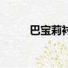 巴寶莉襯衫怎么洗（襯衫怎么洗）