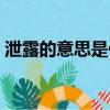泄露的意思是什么詞語（泄露的意思是什么）
