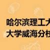 哈爾濱理工大學威海分校是幾本（哈爾濱理工大學威海分校）