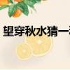 望穿秋水猜一種動物（望穿秋水是什么動物）