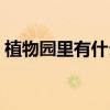 植物園里有什么植物大全（植物園里有什么）