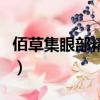 佰草集眼部精華液怎么樣（佰草集眼霜怎么樣）