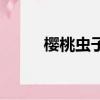 櫻桃蟲子吃了會怎樣（櫻桃蟲子）