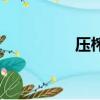 壓榨的意思（壓的意思）