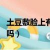 土豆敷臉上有什么作用（土豆敷臉真的會黑了嗎）