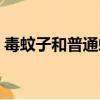 毒蚊子和普通蚊子區別（蚊子和毒蚊子區別）