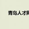 青島人才網官網登錄（青青島人才網）