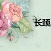 長頸鹿的拼音（鹿的拼音）