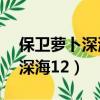 保衛蘿卜深海12關金蘿卜攻略圖（保衛蘿卜深海12）