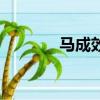 馬成效的兒子馬堅（馬成效）