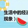 生活中的經濟學現象800字（生活中的經濟學現象）