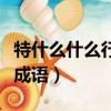 特什么什么行成語大全四個字（特什么行什么成語）