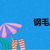 鋼毛蟲吃珊瑚嗎（鋼毛蟲）