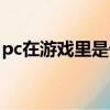 pc在游戲里是什么意思（pc游戲是什么意思）