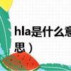 hla是什么意思醫學上叫什么（hla是什么意思）