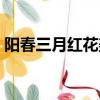 陽春三月紅花美打一動物（陽春三月紅花美）