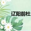 遼陽前杜民宿（遼陽前杜風情小鎮）