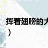 揮著翅膀的大灰狼的全部小說李微然（李微然）