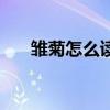 雛菊怎么讀拼音同音字（雛菊怎么讀）
