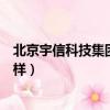 北京宇信科技集團股份有限公司怎么樣（北京宇信科技怎么樣）