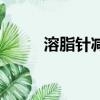 溶脂針減肥安全嗎（溶脂針減肥）