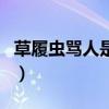 草履蟲罵人是什么意思（衣藻是動物還是植物）