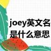 joey英文名是什么意思怎么讀（joey英文名是什么意思）