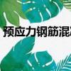 預應力鋼筋混凝土構件（預應力鋼筋混凝土）