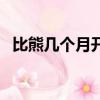 比熊幾個月開始變漂亮（不純的比熊圖片）