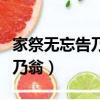 家祭無忘告乃翁前面一句是什么（家祭無忘告乃翁）