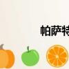 帕薩特W8油耗（帕薩特w8）