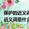 保護的近義詞是什么二年級下冊語文（保護的近義詞是什么）