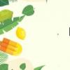 闊綽造句（闊綽）