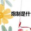 炮制是什么意思怎么讀（炮制讀音）