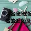 大名鼎鼎的近義詞是什么 標準答案（鼎鼎大名的近義詞）